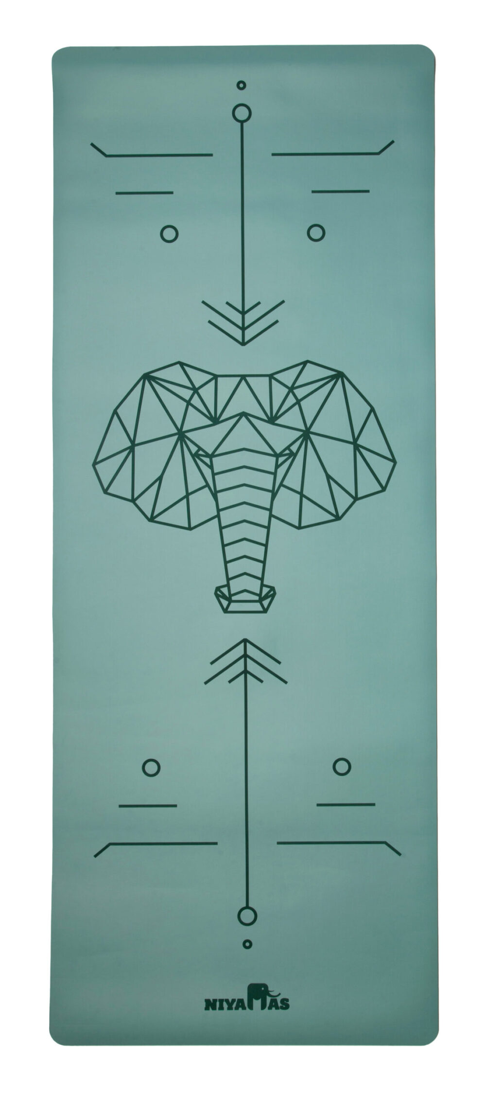 Niyamas Yoga Mat Pro Gaja Pastel Green (183x68x0.5cm) with Carry Strap